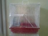 gaiola para hamster 2 andar